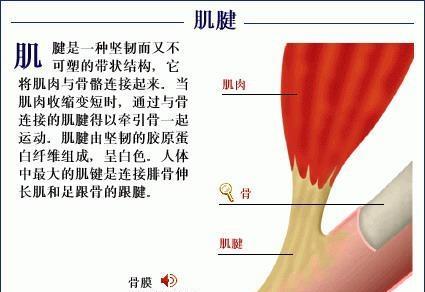 挑手筋脚筋会死人吗图片