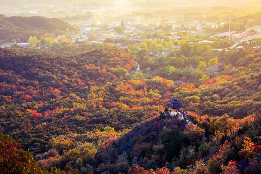 北京的秋景——美醉了的北平