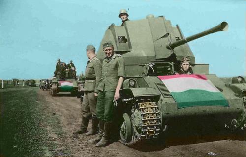 二战匈牙利步枪图片
