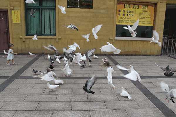 600_399gif 动态图 动图