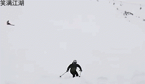 480_278gif 动态图 动图